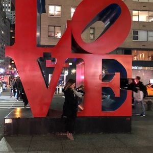 Meet your Posher, Ion